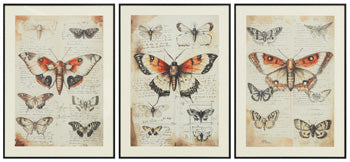 Décoration murale Jossletts (ensemble de 3)