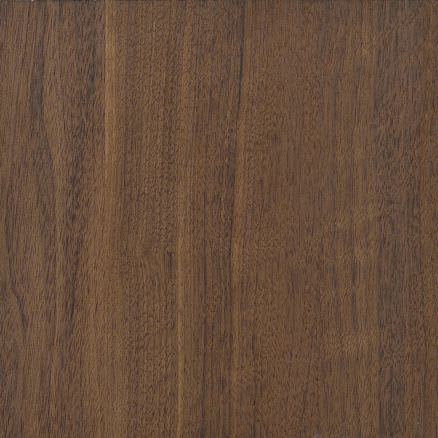 Bibliothèque Maddox