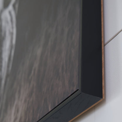 Art mural Harlandale