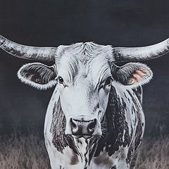 Art mural Harlandale