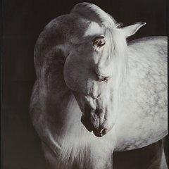 Art mural Archerwick