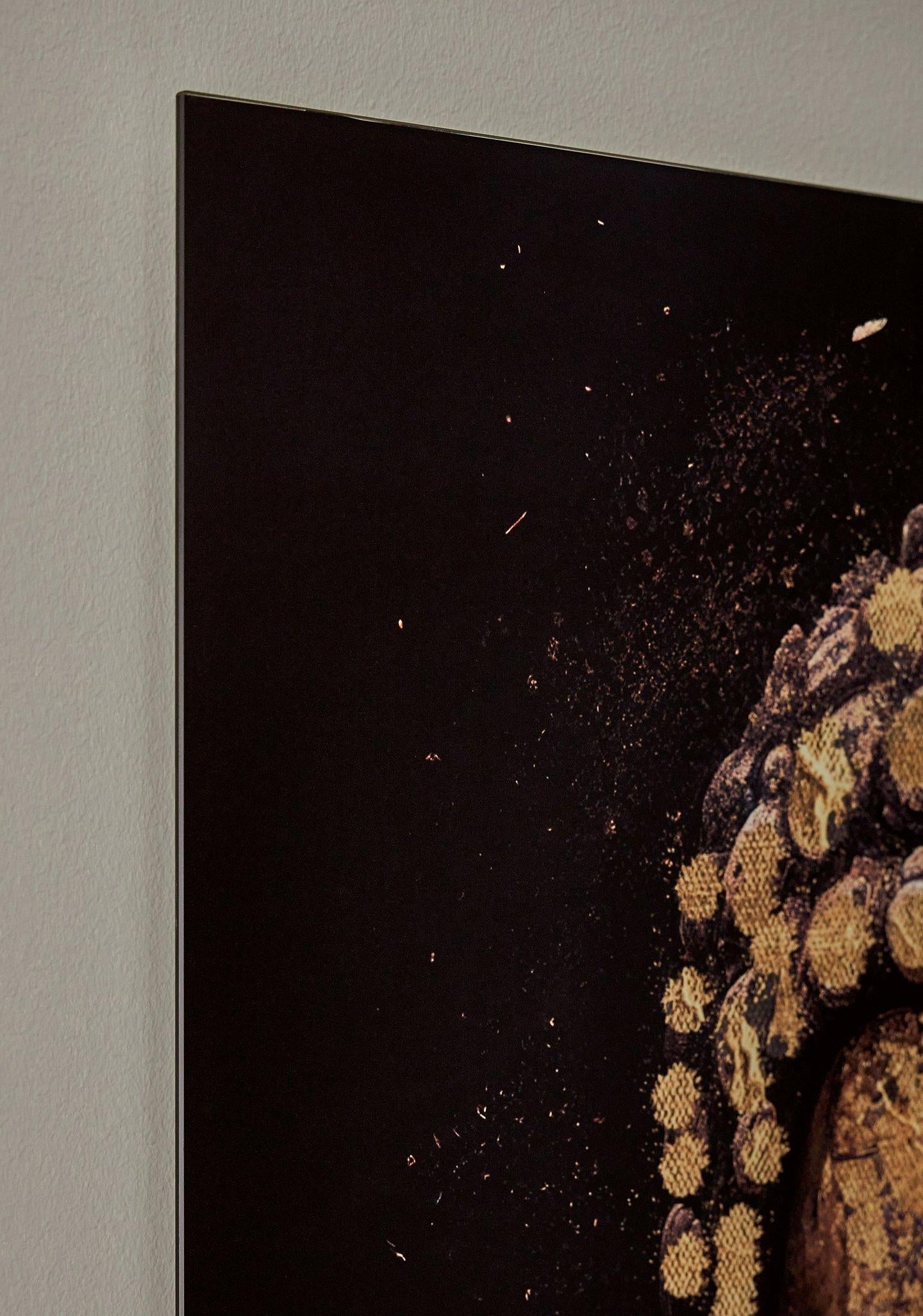 Décoration murale Caymoore