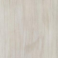 Bibliothèque Carynhurst 75