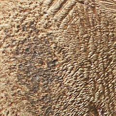 Sculpture de Dunnruck