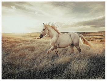 Art mural d'Errolville